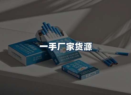 专业团队办公环境